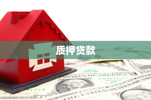 三都质押贷款