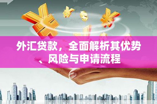 三都外汇贷款，全面解析其优势、风险与申请流程