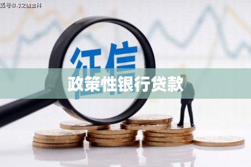 三都政策性银行贷款
