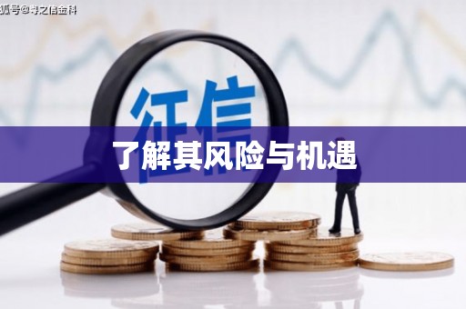 三都了解其风险与机遇