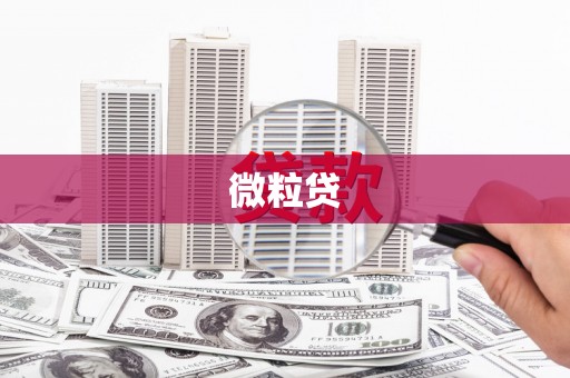 三都微粒贷