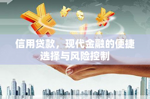 三都信用贷款，现代金融的便捷选择与风险控制