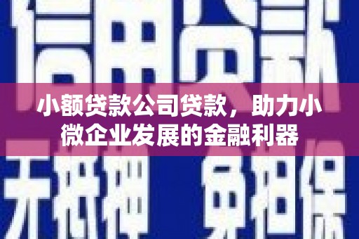 三都小额贷款公司贷款，助力小微企业发展的金融利器