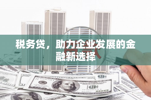 三都税务贷，助力企业发展的金融新选择