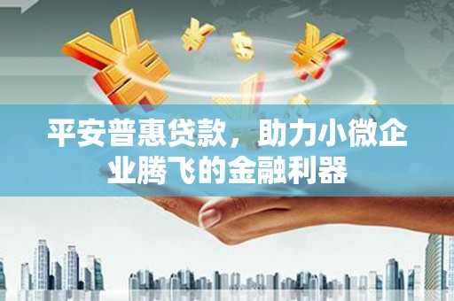 三都平安普惠贷款，助力小微企业腾飞的金融利器