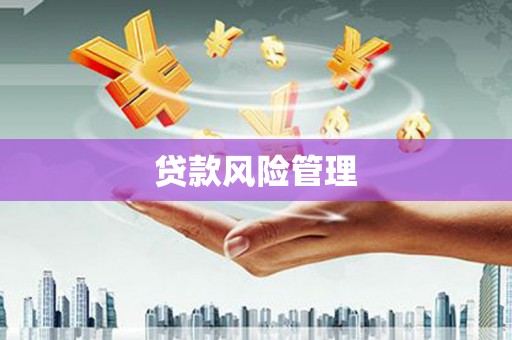 三都贷款风险管理