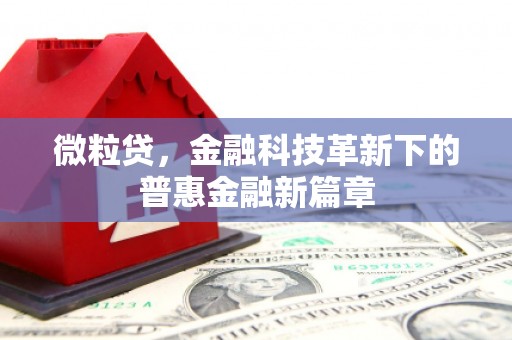 三都微粒贷，金融科技革新下的普惠金融新篇章