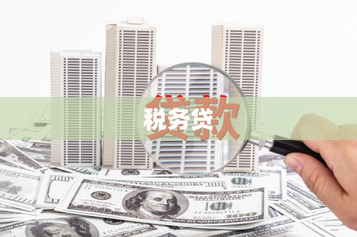 三都税务贷