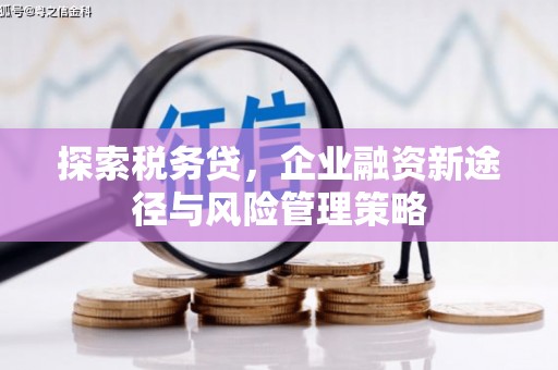 三都探索税务贷，企业融资新途径与风险管理策略