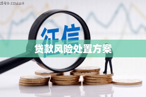三都贷款风险处置方案