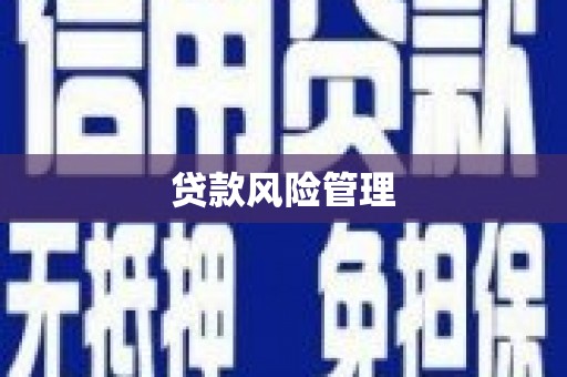 三都贷款风险管理