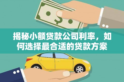 三都揭秘小额贷款公司利率，如何选择最合适的贷款方案