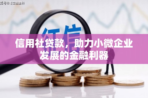 三都信用社贷款，助力小微企业发展的金融利器