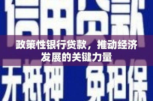 三都政策性银行贷款，推动经济发展的关键力量