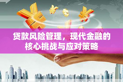 三都贷款风险管理，现代金融的核心挑战与应对策略