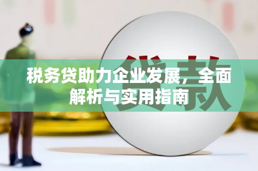三都税务贷助力企业发展，全面解析与实用指南