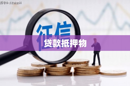 三都贷款抵押物