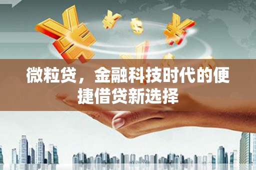 三都微粒贷，金融科技时代的便捷借贷新选择