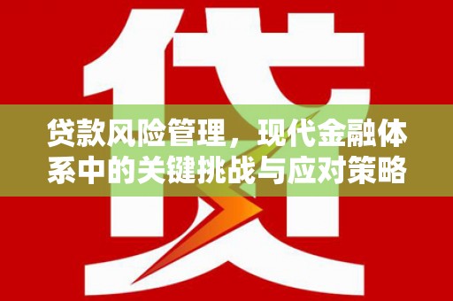 三都贷款风险管理，现代金融体系中的关键挑战与应对策略