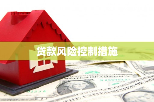 三都贷款风险控制措施