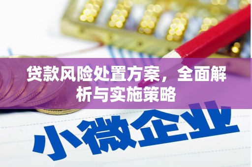 三都贷款风险处置方案，全面解析与实施策略