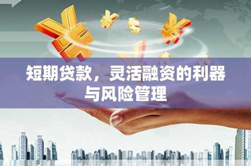 三都短期贷款，灵活融资的利器与风险管理