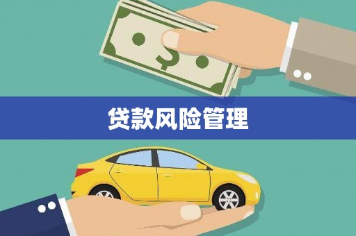 三都贷款风险管理