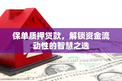 三都保单质押贷款，解锁资金流动性的智慧之选