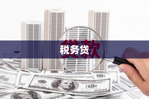 三都税务贷